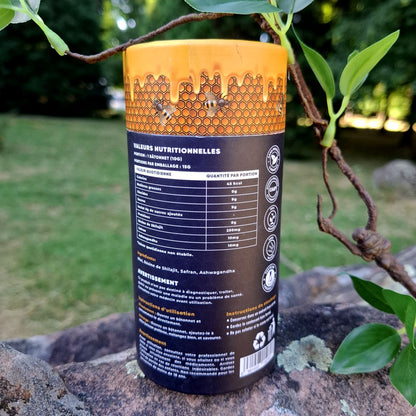 Miel Shilajit Stick Booster avec Safran & Ashwagandha - Testé en Laboratoire, 100% Naturel, par MontOrigin